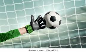 浙媒：“大莲花”有望成为国足上座最高主场！上座率限制8成左右