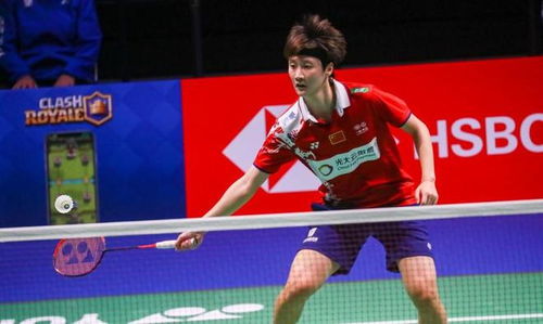 上有所提升 上有所提升